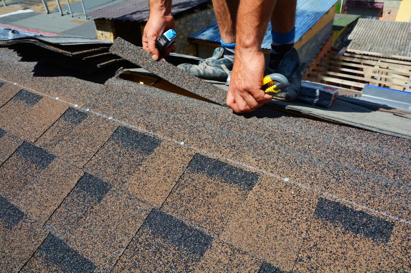 Asphalt Roof Repair