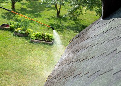 Specialized Roofing Services